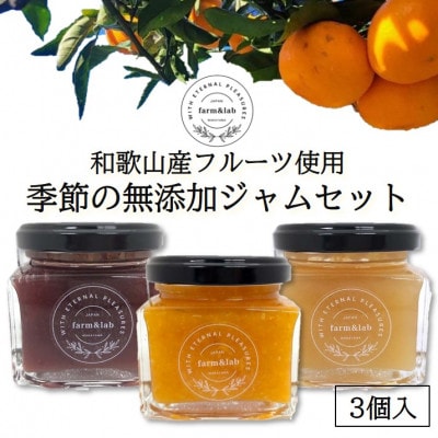 【無添加】和歌山産 季節のジャム3種セット (ゆらみかんジャム+季節のおすすめジャム)【1493643】和歌山県日高町10000鍋セット・総菜・加工食品ジャム・はちみつ