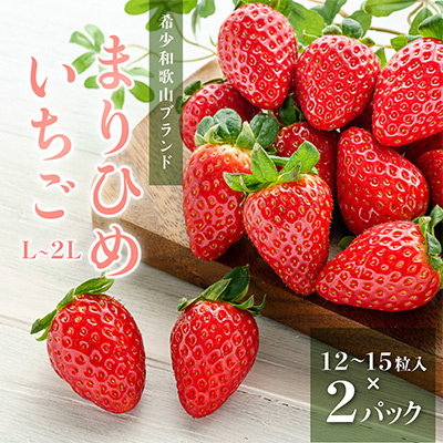 先行受付 まりひめイチゴ L〜2L 12粒〜15粒×2パック【配送不可地域:離島】【1494230】和歌山県日高町14000果物・フルーツいちご