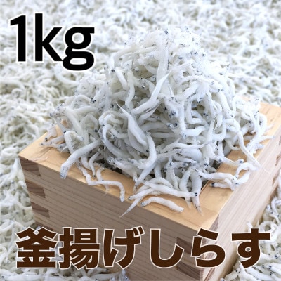 g炷@1kg(500g×2pbN)yzsnFEkCEzy1496836za̎R16000ECY̑ ECY