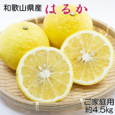 【さわやか柑橘】和歌山県産はるかみかん約4.5kg(サイズ混合 ご家庭用)【日高町】【1500857】和歌山県日高町10000果物・フルーツみかん・柑橘類