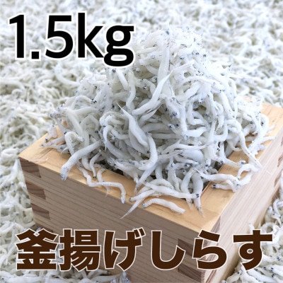 釜揚げしらす1.5kg(500g×3パック)【配送不可地域:離島・北海道・沖縄】【1500897】和歌山県日高町20000魚介・海産物その他 魚介・海産物