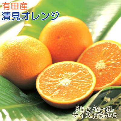 【濃厚】有田産清見オレンジ約5kg(M〜3Lサイズおまかせ 青秀以上)(日高町)【1504259】和歌山県日高町15000果物・フルーツみかん・柑橘類