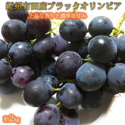 紀州有田産ブラックオリンピア(ハチミツぶどう) 約2kg【配送不可地域:離島・北海道・沖縄】【1511662】和歌山県日高町18000果物・フルーツマスカット・ぶどう