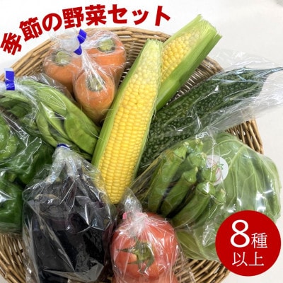 ファーマーズマーケット厳選 日高からの贈り物 季節の野菜セット(8種以上)【野菜詰め合わせ】【配送不可地域:離島】【1523337】和歌山県日高町10000野菜・きのこその他 野菜