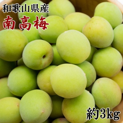 ya̎RYz썂~3kg(TCY)()yzsnFEkCEzy1526069za̎R14000ʕEt[c̑ ʕEt[c