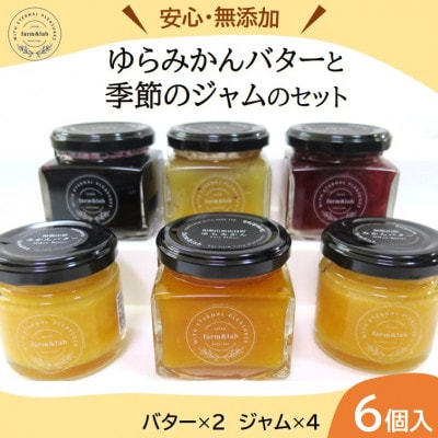 【無添加】みかん農家がつくった「みかんバター2個と季節のジャム4個」のおいしい朝食セット(計6個入)【1530121】和歌山県日高町15000鍋セット・総菜・加工食品ジャム・はちみつ