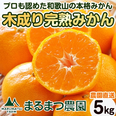【2025年12月発送】完熟濃厚 木成り温州みかん ミックスサイズ 5kg 和歌山県産【配送不可地域:離島】【1544146】和歌山県日高町15000果物・フルーツみかん・柑橘類