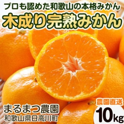 【2025年12月発送】完熟濃厚 木成り温州みかん ミックスサイズ 10kg 和歌山県産【配送不可地域:離島】【1544162】和歌山県日高町24000果物・フルーツみかん・柑橘類