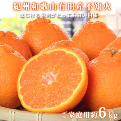 【ご家庭用】紀州有田産不知火(しらぬひ) 6kg【配送不可地域:離島】【1560339】和歌山県日高町15000果物・フルーツみかん・柑橘類