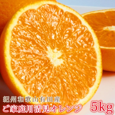 【ご家庭用訳アリ】紀州有田産清見オレンジ 5kg【配送不可地域:離島】【1560346】和歌山県日高町11000果物・フルーツみかん・柑橘類