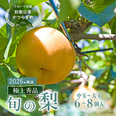 s\!@{̗@ɏGi(ʁ`)6`8@2026N8{甭yzsnFzy1576603za̎R15000ʕEt[c񂲁E