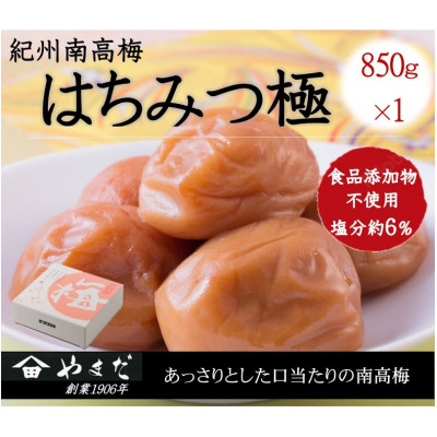 IB썂~݂͂ɉ6%(850g)y1584259za̎R13000ZbgE؁EHHiЕE~EL`