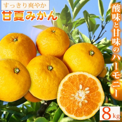 【ご家庭用訳あり】紀州有田産 すっきり爽やか 甘夏みかん 8kg【配送不可地域:離島】【1603672】和歌山県日高町15000果物・フルーツみかん・柑橘類