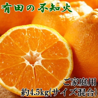 【濃厚】有田の不知火約4.5kgご家庭用向け(サイズ混合)【日高町】【1611597】和歌山県日高町12000果物・フルーツみかん・柑橘類