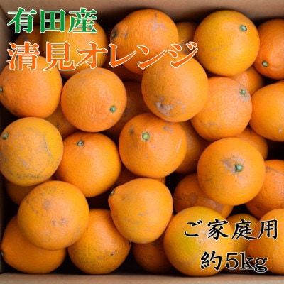 【濃厚】有田産清見オレンジ約5kg(M〜3Lサイズいずれかまたは混合)ご家庭用(日高町)【1611599】和歌山県日高町12000果物・フルーツみかん・柑橘類