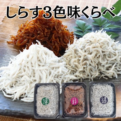 炷3FׁyzsnFEkCEzy1612025za̎R8000ECY̑ ECY