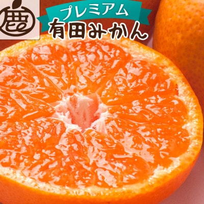 プレミアム 有田みかん1kg+250g(傷み補償分)【光センサー選果】【配送不可地域:離島・北海道・沖縄】【1625359】和歌山県日高町6000果物・フルーツみかん・柑橘類
