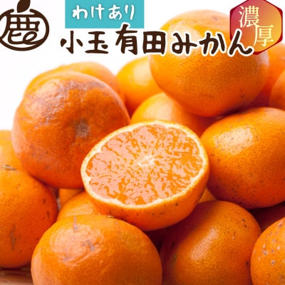 家庭用 小さな有田みかん1kg+250g(傷み補償分)【光センサー選果】【訳あり】【配送不可地域:離島・北海道・沖縄】【1625381】和歌山県日高町6000果物・フルーツみかん・柑橘類