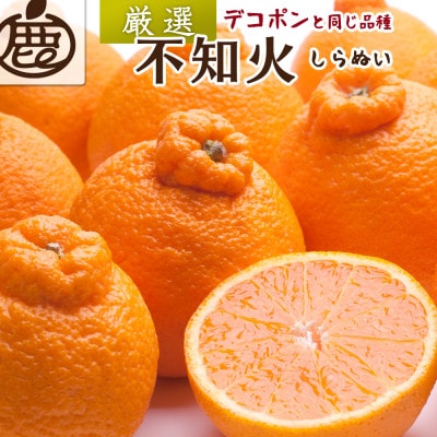 厳選 不知火5kg+250g(傷み補償分)【デコポンと同品種・人気の春みかん】【配送不可地域:離島・北海道・沖縄】【1633610】和歌山県日高町18000果物・フルーツみかん・柑橘類