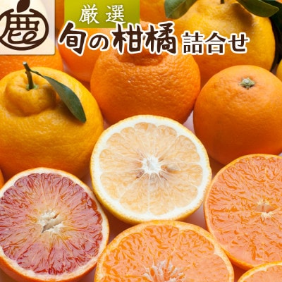 厳選 柑橘詰合せ1kg+250g(傷み補償分)【配送不可地域:離島・北海道・沖縄】【1644004】和歌山県日高町7000果物・フルーツみかん・柑橘類