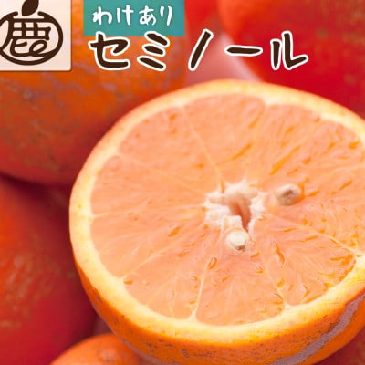 家庭用 セミノールオレンジ1kg+250g(傷み補償分)【春みかん】【訳あり】【光センサー選果】【配送不可地域:離島・北海道・沖縄】【1651254】和歌山県日高町6000果物・フルーツみかん・柑橘