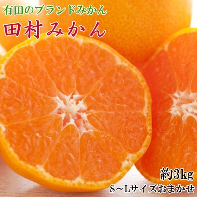 【ブランドみかん】田村みかん約3kg(S.M.Lサイズおまかせ・秀品)【日高町】【1657411】和歌山県日高町14000果物・フルーツみかん・柑橘類