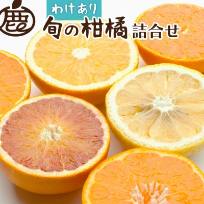 家庭用 柑橘詰合せ1kg+250g(傷み補償分)【訳あり】【有田の春みかん詰め合わせ】【配送不可地域:離島・北海道・沖縄】【1660459】和歌山県日高町7000果物・フルーツみかん・柑橘類