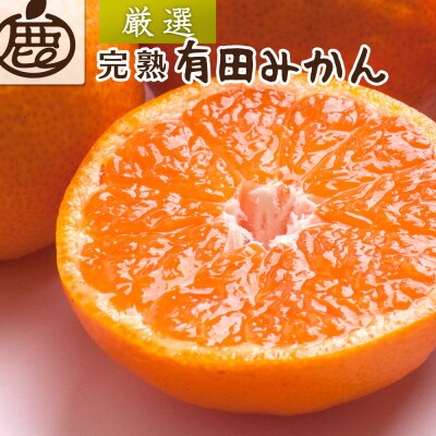 プレミアム 完熟有田みかん5kg+250g(傷み補償分)【光センサー選果】【温州みかん】【配送不可地域:離島・北海道・沖縄】【1661636】和歌山県日高町13000果物・フルーツみかん・柑橘類