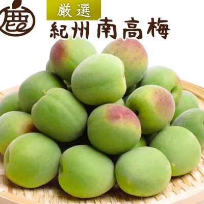 厳選 紀州南高梅(青梅)1kg+250g(傷み補償分)【梅干し・梅酒・梅ジュースに◎】【配送不可地域:離島・北海道・沖縄】【1661950】和歌山県日高町9000果物・フルーツその他 果物・フルーツ