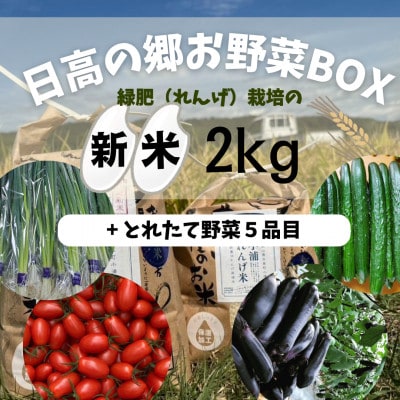 日高の郷 無洗米つきお野菜BOX(白米)【配送不可地域:離島】【1675578】和歌山県日高町13000米・パン無洗米