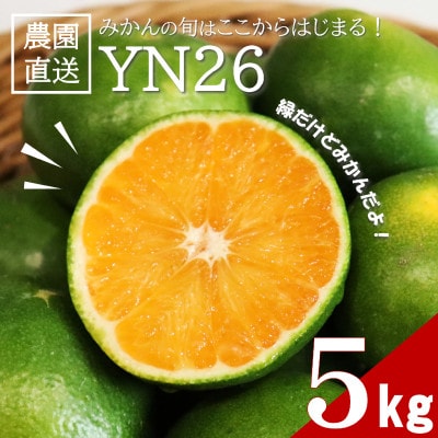 【先行受付】9月からみかんが楽しめる!極早生みかん YN26 約5kg(2026年9月中旬〜出荷)【1680031】和歌山県日高町10000果物・フルーツみかん・柑橘類