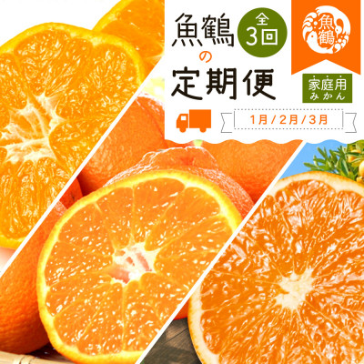 【発送月固定定期便】紀州和歌山産旬のご家庭用柑橘セット(みかん・不知火・清見)全3回【配送不可地域:離島】【4001339】和歌山県日高町50000果物・フルーツみかん・柑橘類
