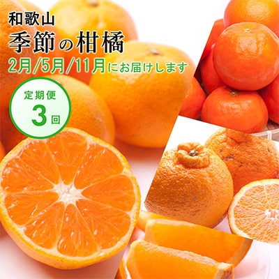 【発送月固定定期便】季節の柑橘定期便A【フルーツ定期便】【和歌山県有田】全3回【4011702】和歌山県日高町24000果物・フルーツみかん・柑橘類