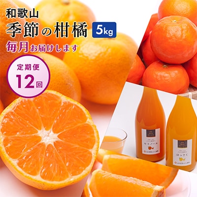 【発送月固定定期便】季節の柑橘定期便B【フルーツ定期便】【和歌山県有田】全12回【4011709】和歌山県日高町160000果物・フルーツみかん・柑橘類