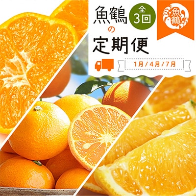 【発送月固定定期便】紀州和歌山産旬の柑橘セット(みかん・なつみ・バレンシア)全3回【配送不可地域:離島】【4011933】和歌山県日高町32000果物・フルーツみかん・柑橘類