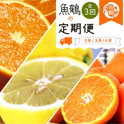 【発送月固定定期便】紀州和歌山産旬の柑橘セット(不知火・レモン・清見)全3回【4011935】和歌山県日高町44000果物・フルーツみかん・柑橘類