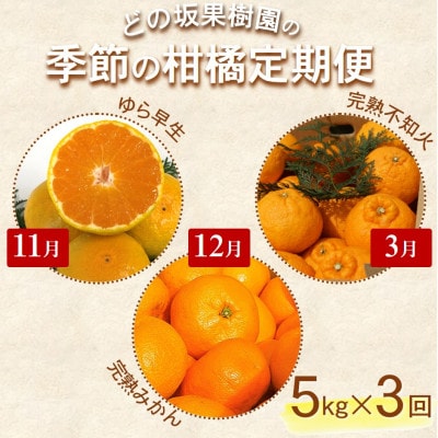 【発送月固定定期便】どの坂果樹園自慢の柑橘定期便(ゆら早生・完熟みかん・不知火) 各約5kg全3回【配送不可地域:離島・北海道・沖縄】【4052457】和歌山県日高町31000果物・フルーツみか