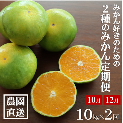 【発送月固定定期便】みかん好きに食べてほしい 2種のみかん定期便 各10kg【贈答用・秀品】全2回【4054114】和歌山県日高町44000果物・フルーツみかん・柑橘類