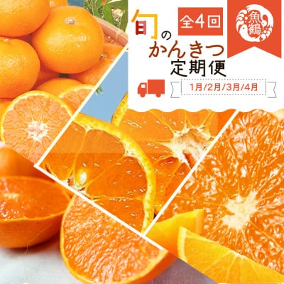 【発送月固定定期便】紀州和歌山産旬の柑橘セット(みかん・不知火・せとか・清見)全4回【4066651】和歌山県日高町49000果物・フルーツみかん・柑橘類