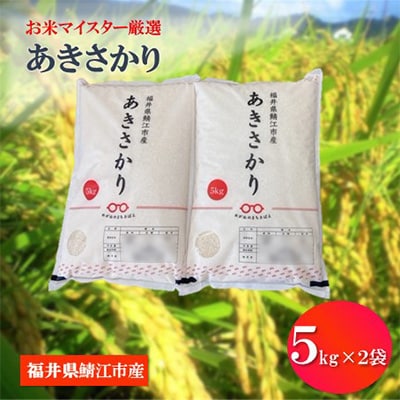 鯖江市産【令和4年産】あきさかり 10kg【1094965】福井県鯖江市10000米・パン白米