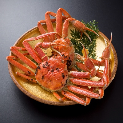 【11月6日漁解禁】福井冬の味覚!越前がに  900-1,000g × 2杯【配送不可地域:離島・北海道・沖縄・東北・関東・中国・四国・九州】【1264291】福井県鯖江市200000魚介・海産物カニ