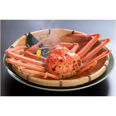 【11月6日漁解禁】福井冬の味覚!越前がに 1杯 (1,200〜1,300g)【配送不可地域:離島・北海道・沖縄・東北・関東・中国・四国・九州】【1264302】福井県鯖江市167000魚介・海産物カニ