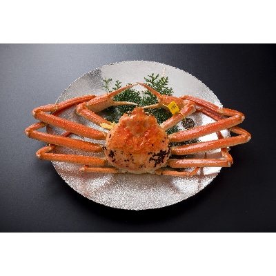 【11月6日漁解禁】福井冬の味覚!越前がに 極 1杯(1,500g以上)【配送不可地域:離島・北海道・沖縄・東北・関東・中国・四国・九州】【1264306】福井県鯖江市800000魚介・海産物カニ