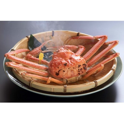 【11月6日漁解禁】福井冬の味覚! 越前がに600〜700g1杯 &せいこがに甲羅盛 5個【配送不可地域:離島・北海道・沖縄・東北・関東・中国・四国・九州】【1354957】福井県鯖江市100000魚介・海