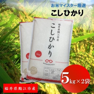 鯖江市産【令和6年産】こしひかり 10kg【1437122】福井県鯖江市32000米・パン白米