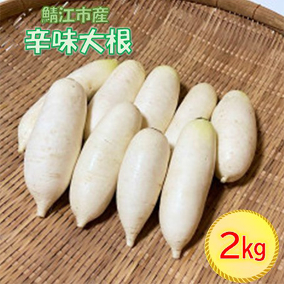 おろしそばに最適! 越前福井産辛味大根 2kg【配送不可地域:離島】【1461848】福井県鯖江市8000野菜・きのこ大根・ニンジン・根菜類