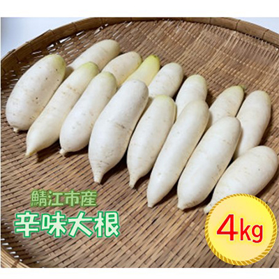 おろしそばに最適! 越前福井産辛味大根 4kg【配送不可地域:離島】【1461850】福井県鯖江市16000野菜・きのこ大根・ニンジン・根菜類