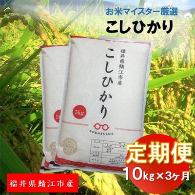 【毎月定期便】鯖江市産 こしひかり 10kg全3回【4005514】福井県鯖江市57000米・パン白米