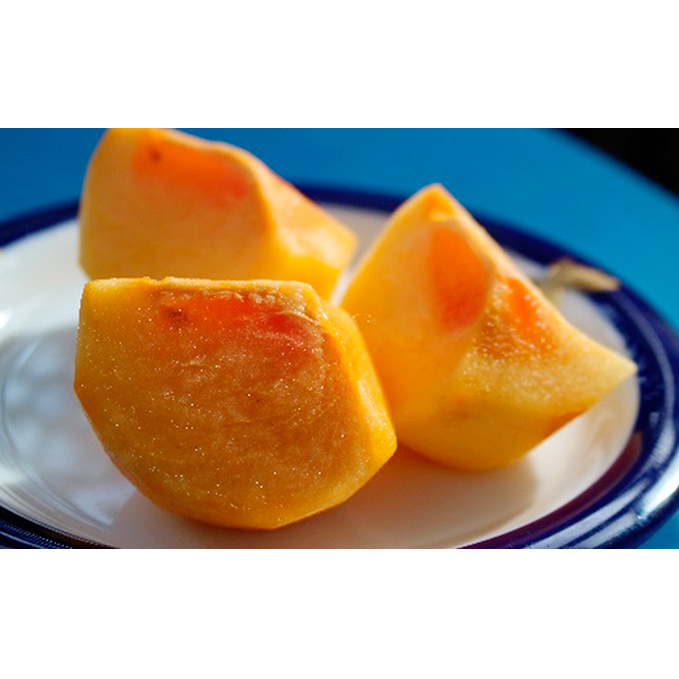 【数量限定】滋賀・伊吹特産ひらたねなし柿(炭酸脱渋) 果物類 かき 種なし柿 種なし 滋賀県米原市15000果物・フルーツその他 果物・フルーツ