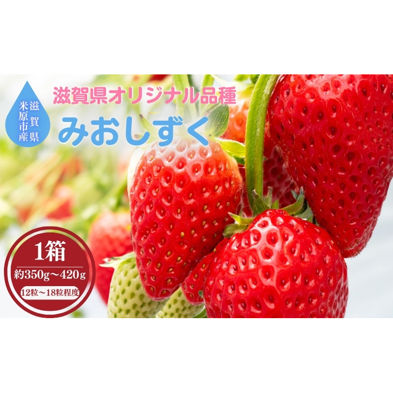 y{BzꌧIWiu݂v ʕ t[c fU[g  Â _ Ƃ낯 炩 ꌧČs12000ʕEt[c